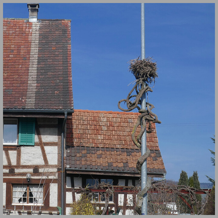 1 Wil – St. Gallen