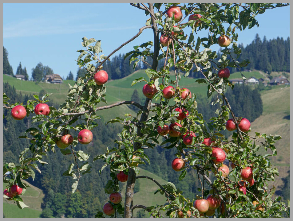 10 Interlaken – Schüpfheim