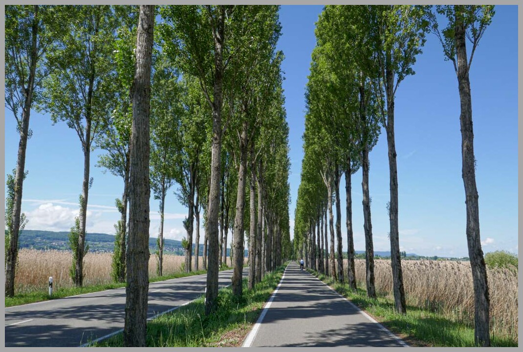 5 Romanshorn – Reichenau – Stein am Rhein
