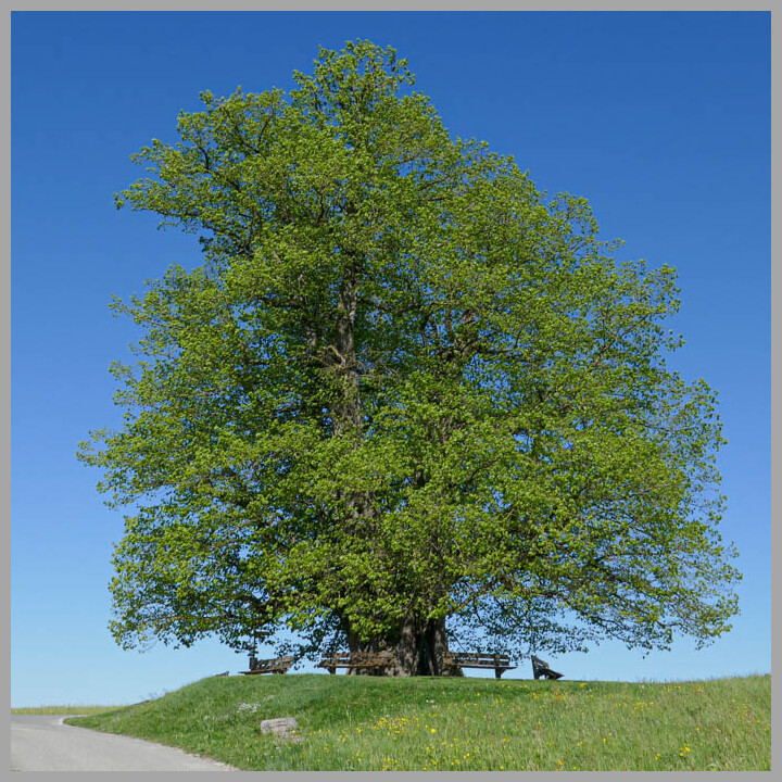 2 Brugg – Aarau
